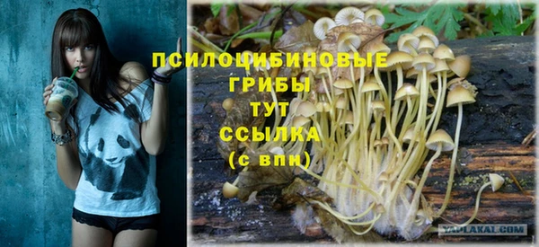 стаф Баксан