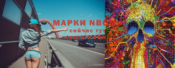 стаф Баксан
